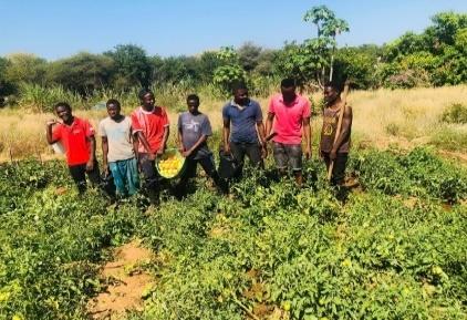 Fotografia da Cooperativa Agrícola Jovens Visionários