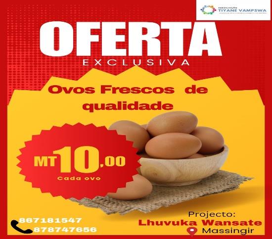 Fotografia da Cooperativa Lhayissa